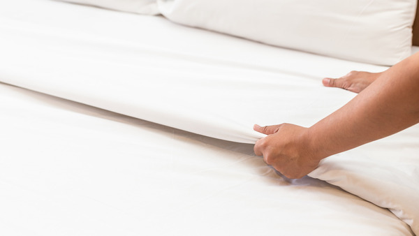 Queen Accessible Room